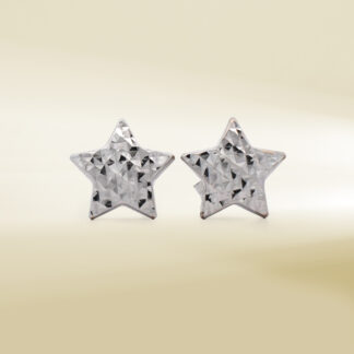 18K White Gold Star Design Earrings